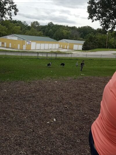 McKinney Bark Park - Kirksville, MO