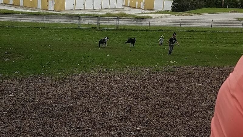 McKinney Bark Park - Kirksville, MO