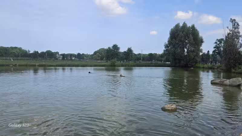 Canine Meadow - Dog Park - Kirtland, OH