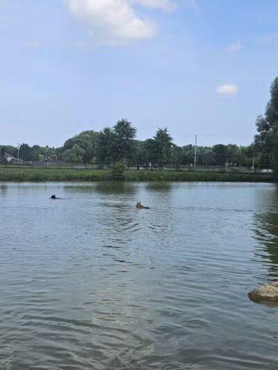 Canine Meadow - Dog Park - Kirtland, OH