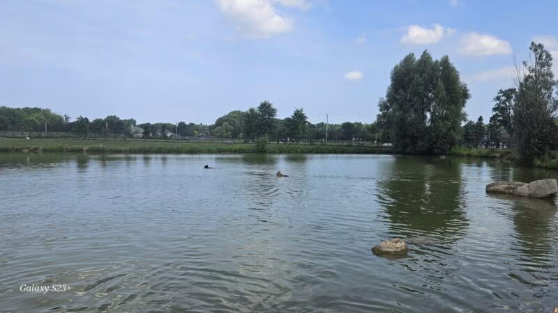 Canine Meadow - Dog Park - Kirtland, OH