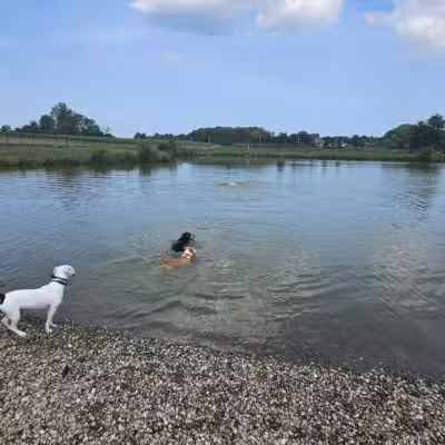 Canine Meadow - Dog Park - Kirtland, OH