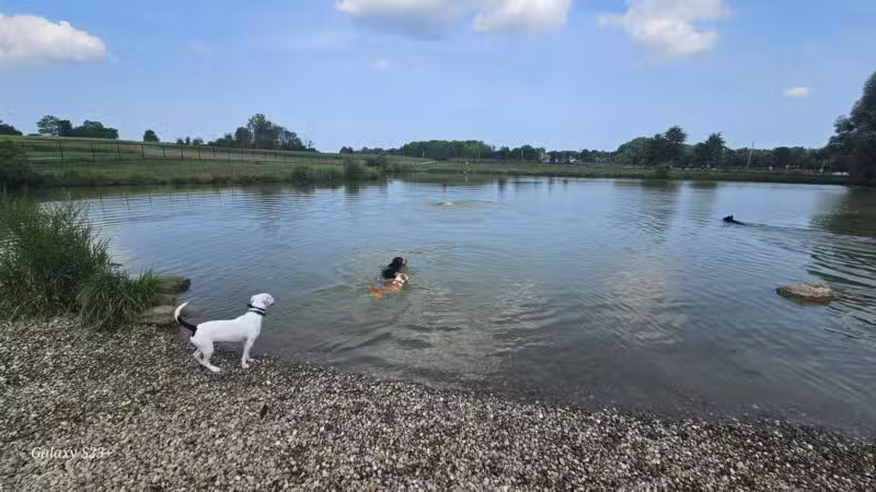 Canine Meadow - Dog Park - Kirtland, OH