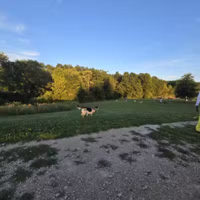 Canine Meadow - Dog Park - Kirtland, OH