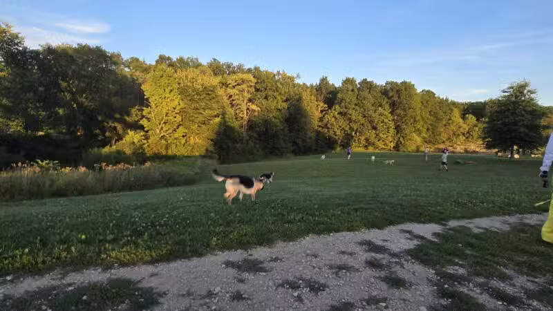 Canine Meadow - Dog Park - Kirtland, OH