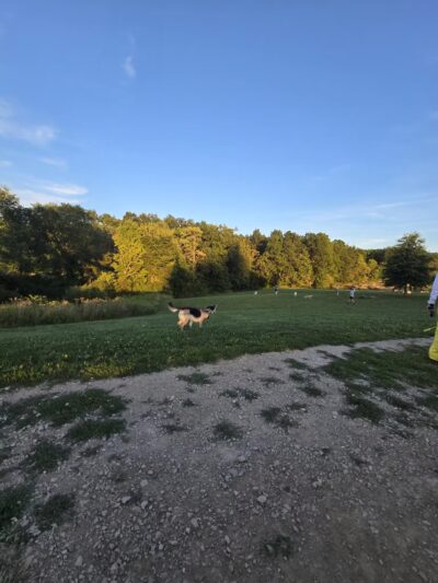 Canine Meadow - Dog Park - Kirtland, OH