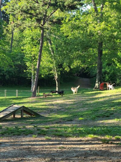 Dogwood Park - Knoxville, TN