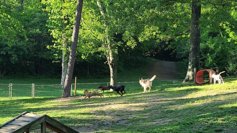 Dogwood Park - Knoxville, TN