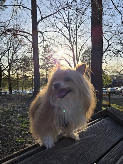 Dogwood Park - Knoxville, TN