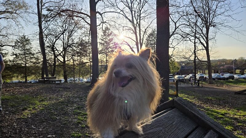 Dogwood Park - Knoxville, TN