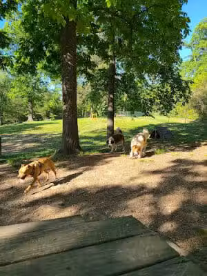 Dogwood Park - Knoxville, TN