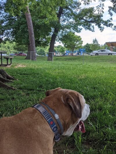 Dogwood Park - Knoxville, TN