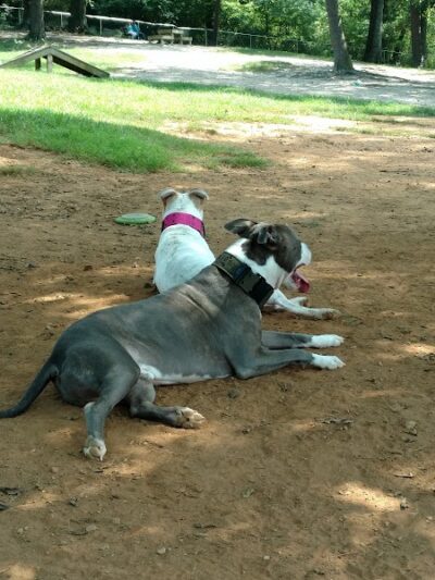 Dogwood Park - Knoxville, TN