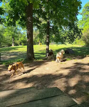 Dogwood Park - Knoxville, TN