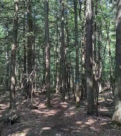 L'Anse Township Park - L'Anse,