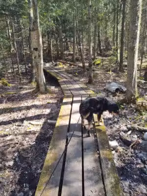 L'Anse Township Park - L'Anse,