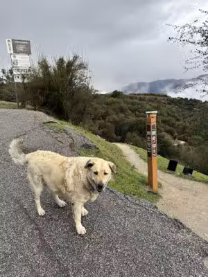 Cherry Canyon Park - La Cañada Flintridge, CA