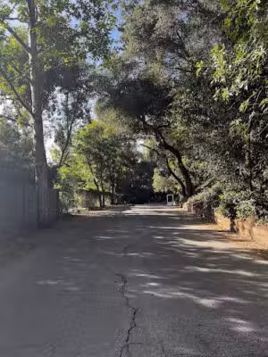 Flint Canyon Trail - La Cañada Flintridge, CA