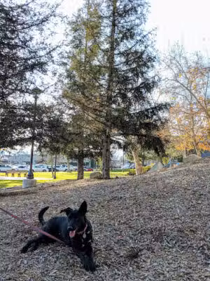 Olberz Park - La Cañada Flintridge, CA