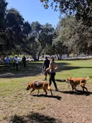 Crescenta Valley Community Regional Park - La Crescenta-Montrose, CA