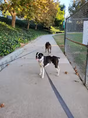 Two Strike Park - La Crescenta-Montrose, CA