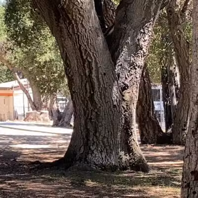 Crescenta Valley Community Regional Park - La Crescenta-Montrose, CA