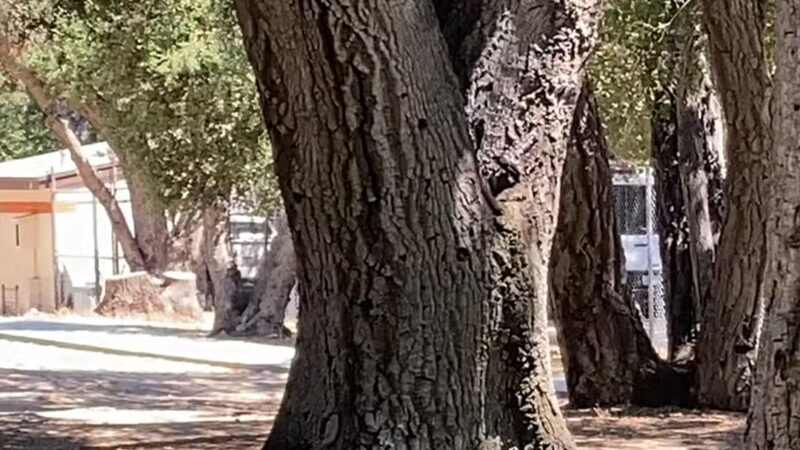 Crescenta Valley Community Regional Park - La Crescenta-Montrose, CA