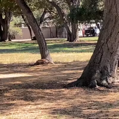 Crescenta Valley Community Regional Park - La Crescenta-Montrose, CA