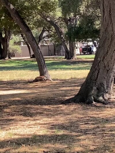 Crescenta Valley Community Regional Park - La Crescenta-Montrose, CA