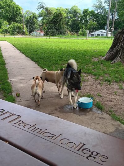 Houska Park - La Crosse, WI