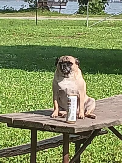 Houska Park - La Crosse, WI