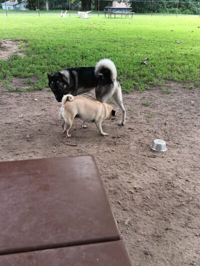 Houska Park - La Crosse, WI