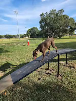 Farrington Dog Park - La Porte, TX