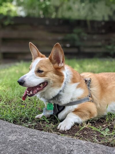 La Veta City Park - La Veta, CO