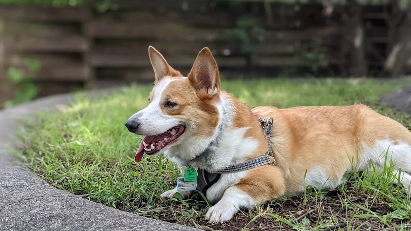 La Veta City Park - La Veta, CO