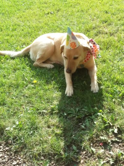 La Veta City Park - La Veta, CO