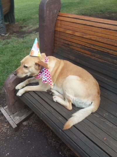 La Veta City Park - La Veta, CO