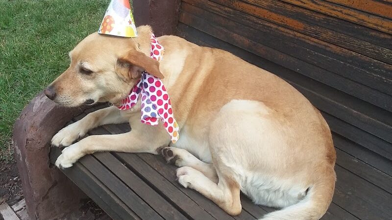 La Veta City Park - La Veta, CO