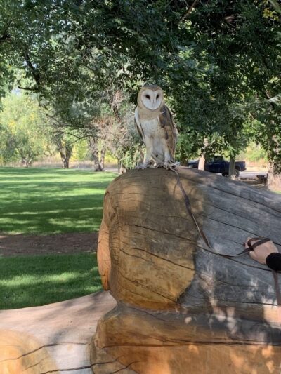 La Veta City Park - La Veta, CO