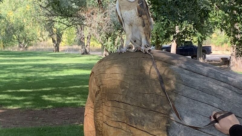 La Veta City Park - La Veta, CO