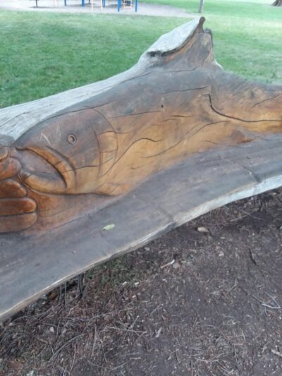 La Veta City Park - La Veta, CO