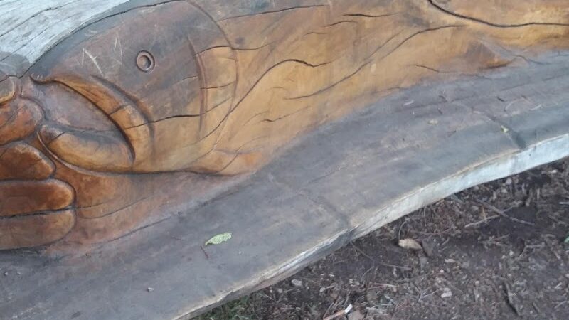 La Veta City Park - La Veta, CO