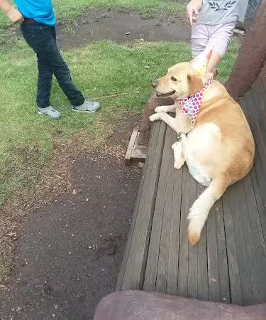 La Veta City Park - La Veta, CO