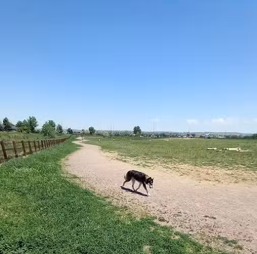 The Great Bark Dog Park - Lafayette, CO