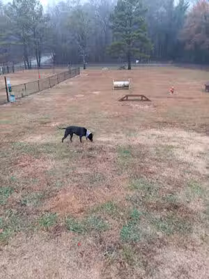City of LaFayette Dog Park - LaFayette, GA