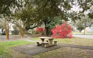 Veteran's Park at Pontiac Point - Lafayette, LA