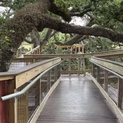Moncus Park - Lafayette, LA