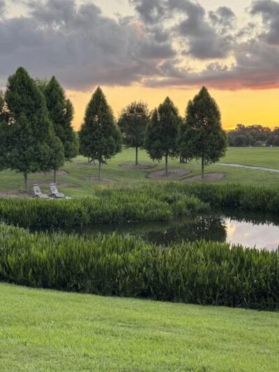 Moncus Park - Lafayette, LA