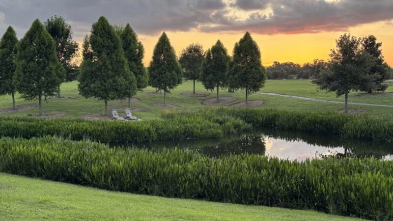 Moncus Park - Lafayette, LA