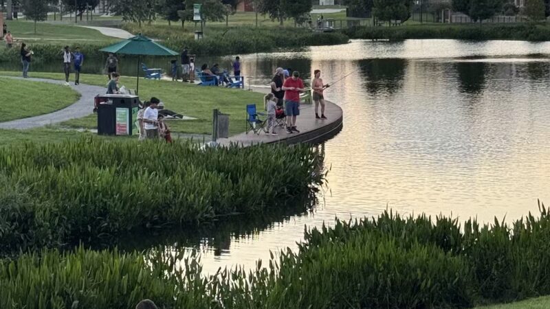 Moncus Park - Lafayette, LA